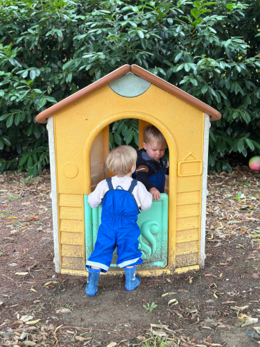 1a5c65d3-6260-4de9-aa12-52e6e75d729b