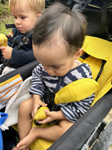 605cde2a-7fbc-460c-b192-9c3e503140b2