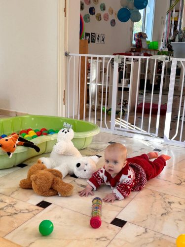 8338f68a-91d3-4136-8833-f2b1e003f3fe