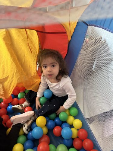 IMG 0217