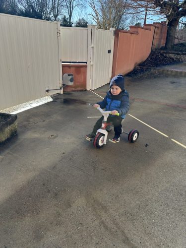IMG 0350