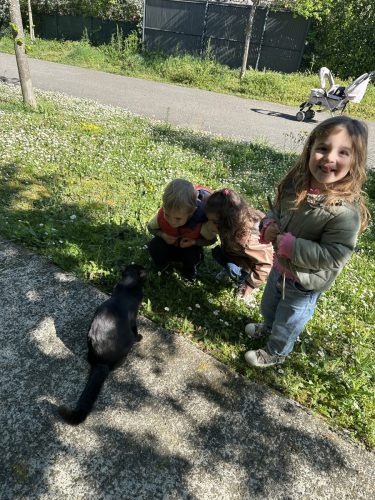 IMG 1312