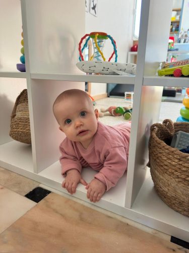 ab3d0ef9-6107-416c-bb38-63d529ee2519