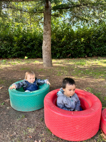 acd011a9-d9fe-41b3-b947-e49660dc264b