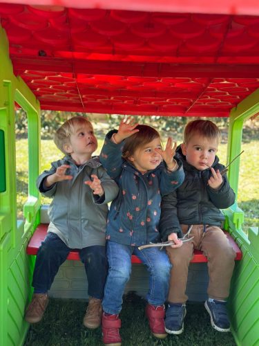 ee8dd6cf-b10b-4470-b93d-b9ee5181ca91